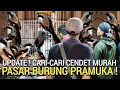 Download Lagu BARU KETEMU ! BURUNG CENDET SEHAT HARGA SEKARAT DI KIOS PASAR BURUNG PRAMUKA HARI INI 