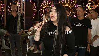 نور على    بنتى وضنايا   مليونية أولاد الكندوز    نقيطه   شركة النجوم             دندنها