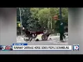 Download Lagu Horse pulling carriage scares people in Central Park after running wild