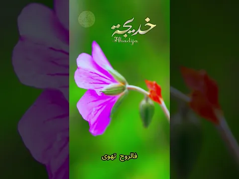 شعر حب على اسم حبيبتي خديجة  #قناة_معاني_الاسماء #poetry #poem #شعر #love