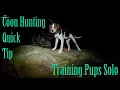 Coon Hunting Quick Tip Training Pups Solo