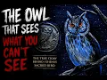 the all seeing owl - storytime with createthings