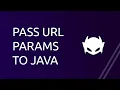 Pass URL Query Parameters to Java