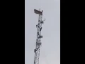nekad mau melompat dari tower treangel, tapi ngukur dulu