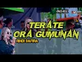 Download Lagu TERATE ORA GUMUNAN ~ RINDI SAFIRA ~ ADMAJA MUSIC | SH Terate rayon polokarto