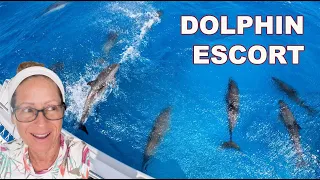 Passage on Our Leopard 45 Sailing Catamaran: Puerto Rico to the Bahamas. E105