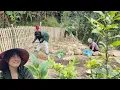 The girl created terraced gardens to grow vegetables