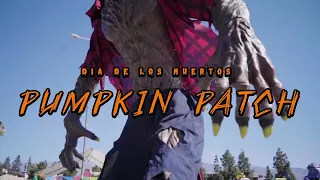 PUMPKIN PATCH HALLOWEEN BANNING CA