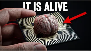 This Computer Is Alive — And It Has Human Neurons Inside