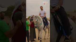 BTS Stay Tuned Mohamed Tarek Morningshoot 