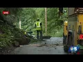 Tree falls across road in Northfield VT