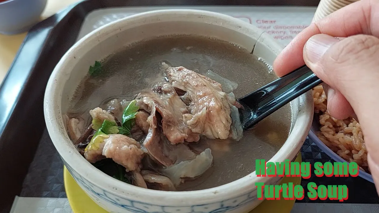 Havelock Road Cooked Food Centre. Havelock Turtle Soup.