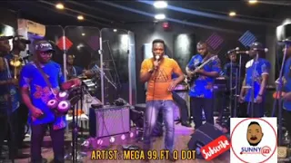 mega 99 ft qdot