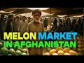 Download Lagu WHOLESALE MELON MARKET IN AFGHANISTAN