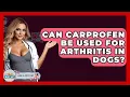 Can Carprofen Be Used For Arthritis In Dogs - Ask A Pet Vet
