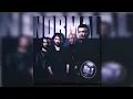 Normal - Yağmur