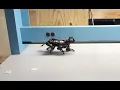 Nybble Unleashing Raw Speed Without Self-Balancing PetoiCamp