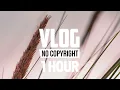 Download Lagu [1 Hour] - LiQWYD - Feel Me (Vlog No Copyright Music)