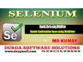 Selenium Handel Alerts using WebDriver Handel Confirmation boxes using WebDriver