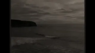 حالات واتس اب انك ميت وانهم ميتون ماهر المعيقلي 