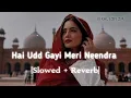Download Lagu Hai Udd Gayi|Slowed+Reverb| Sonu Nigam|Govinda songs, Hindi Lofi