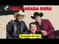 Download Lagu TRIO PARADA DURA  (Barquinha De Ouro)