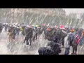 Apocalypse of stones in Canada The hail hits Regina Saskatchewan