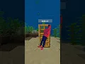 Minecraft Java vs Bedrock