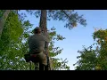 The Lightest Cheapest Climbing Method for Saddle Hunting the Aither