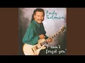 Download Lagu I Can't Forget You