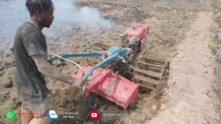 Thế Nhân || Liệu Lưới Tàng Hình Có Bảo Vệ Được Ruộng Mạ Trước Sự Tàn Phá Khủng Khiếp Từ Đám Vịt Tặc?