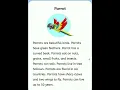 Download Lagu Parrot || Short essay || 10 line essay