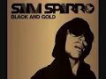 Black & Gold (Russ Chimes remix) - Sam Sparro