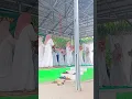 Download Lagu Suasana di kota santri