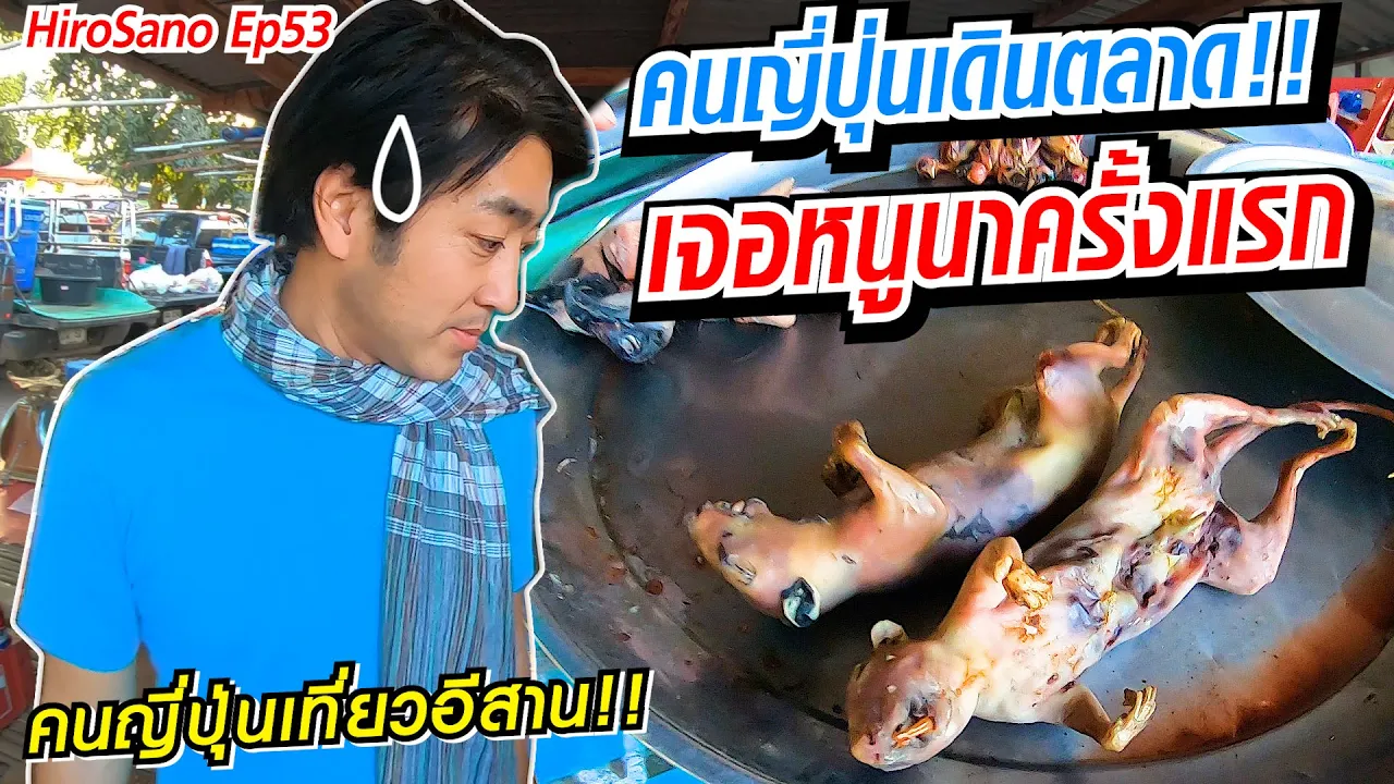 รีวิวร้านอาหาร ญี่ปุ่น ที่ของขอนแก่น HaruHana