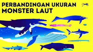 megalodon vs paus biru siapa raksasa laut 1