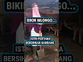 VIRAL!!! CARA ISTERI PERTAMA BERSIHKAN KANDANG SAPI I