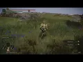 Elden Ring Best Erdleaf Flower Farm 8 flowers per minute