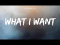 Download Lagu What I Want │ Morgan Wallen Lyrics