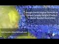 Google Earth Engine Tutorial-36 Global Canopy Height Product 1-meter