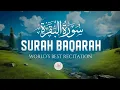 Surah AL BAQARAH Full (سورة البقره) Ultimate Deep Emotional Healing Quran Recitation | AFL