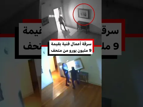 شاهد، لحظة سرقة أعمال فنية بقيمة 9 مليون يورو من متحف