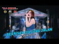 Download Lagu BERPISAH DIUJUNG JALAN - SHINTA ARSITA - OM SAVANA SAKJOSE   TEMU KANGEN MILITANE WONG MBELUT( MWB )