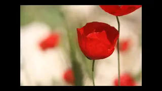 اسم الله من العين دندنها