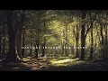 Download Lagu Sunlight through the leaves | Piano Playlist