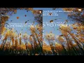 Ciaran McAuley & Liel Kolet - Something To Hold (Extended Mix)