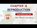 Chapter - 8 Reproduction Asexual reproduction Class 10 science ncert cbse