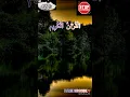 Download Lagu QURAN VERSE | SURAH NAMAL