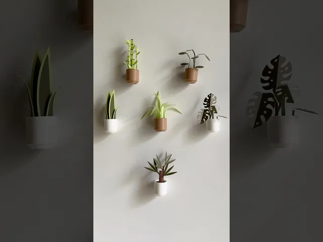 Botanicals, fridge magnets. video thumbnail