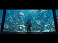 Download Lagu Arthur talking to the fish | Aquaman (2018) HD